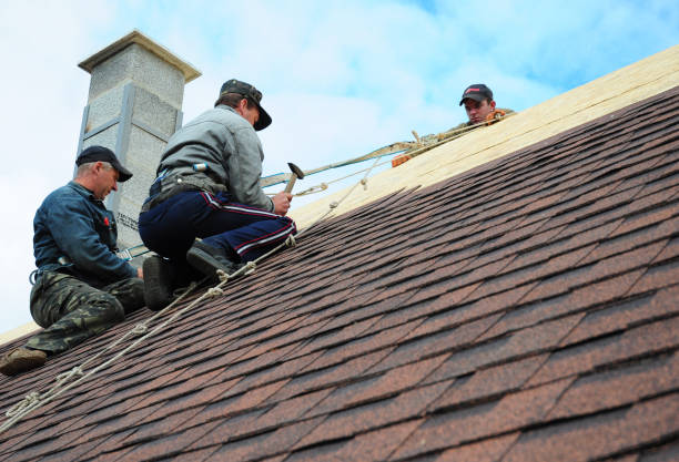 Quick and Trustworthy Emergency Roof Repair Services in Bee Ridge, FL